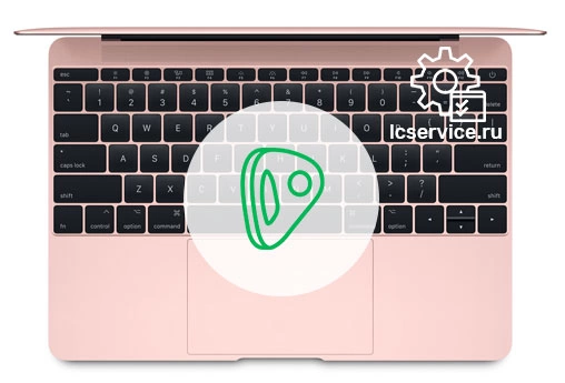 ремонт петель на MacBook